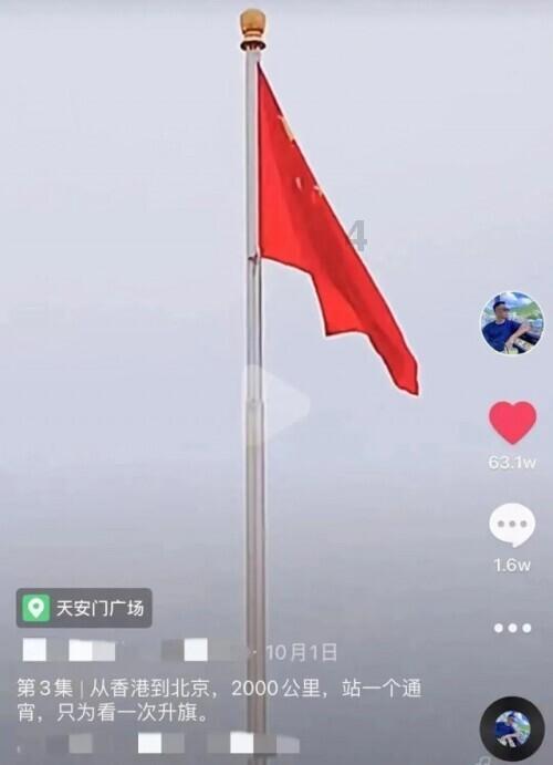 278份材料包免费送!年轮画、纸艺花,一起画出花花的世界~